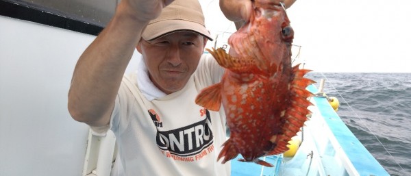 7月9日　灘のカサゴの試し釣り！！。のサムネイル